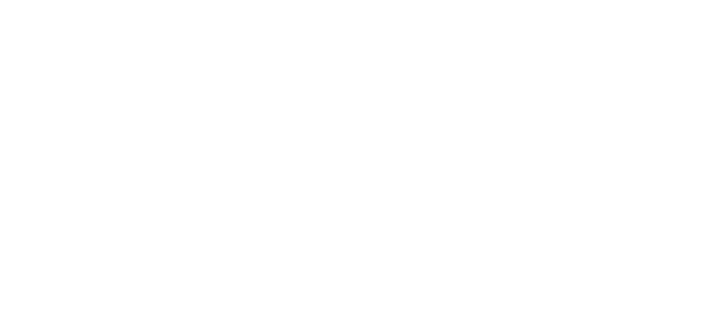 logo-ida